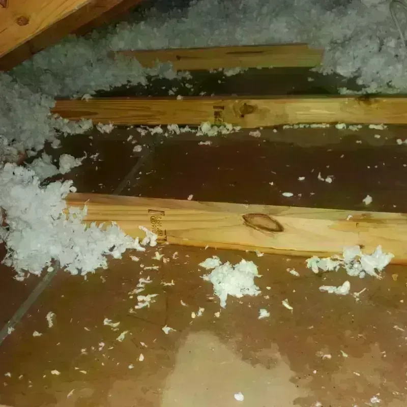 Attic Water Damage in Moss Beach, CA