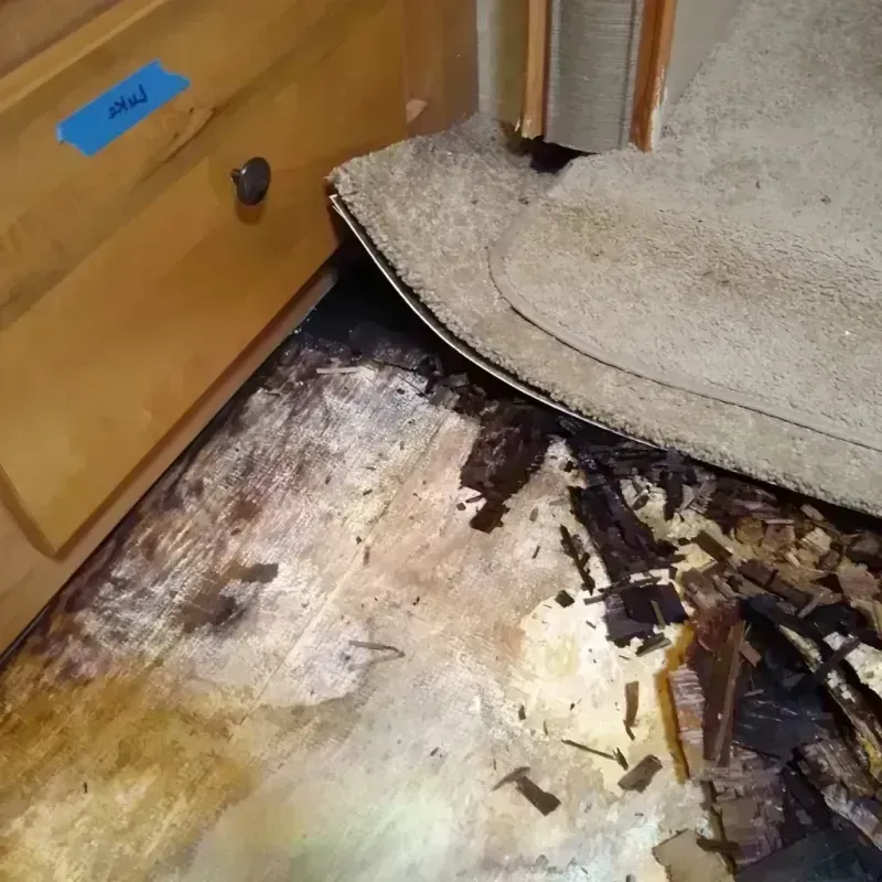 Wood Floor Water Damage in Moss Beach, CA